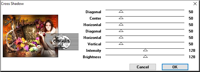 Effecten - Insteekfilters - Graphics Plus - Cross Shadow