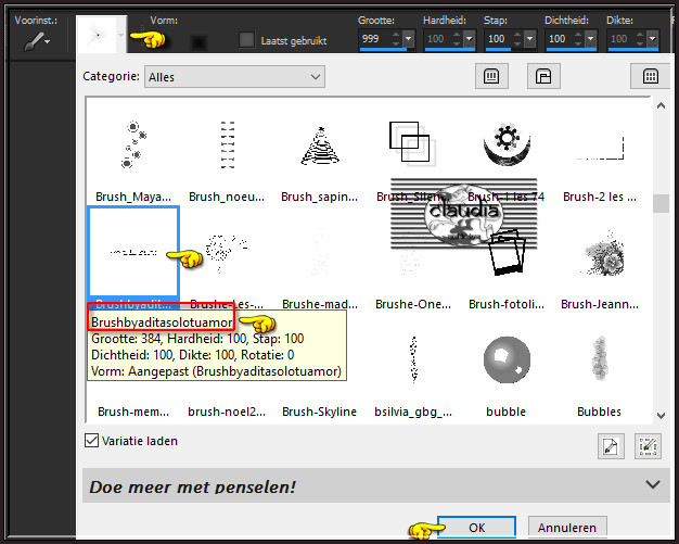 Activeer het "Penseelgereedschap" en zoek de Brushe "Brushbyaditasolotuamor" met deze instellingen :