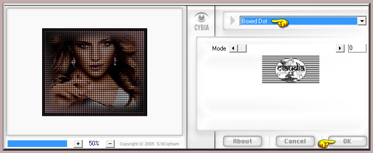 Effecten - Insteekfilters - Cybia - Screenworks