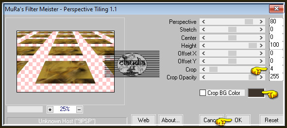 Effecten - Insteekfilters - MuRa's Meister - Perspective Tiling 