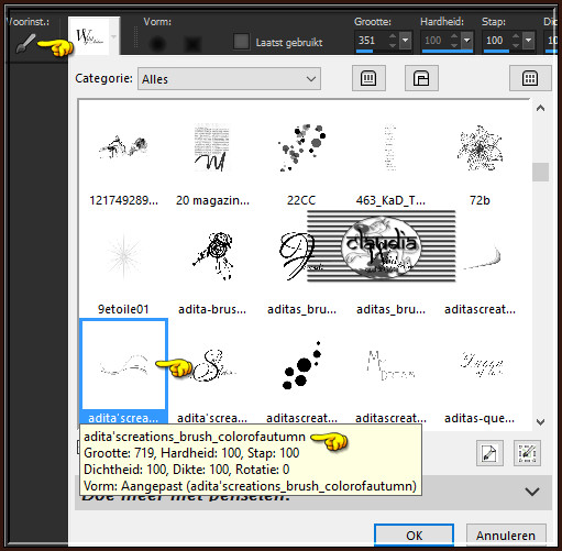 Activeer het "Penseelgereedschap" en zoek de Brushe "adita'screations_brush_colorofautumn" met deze instellingen