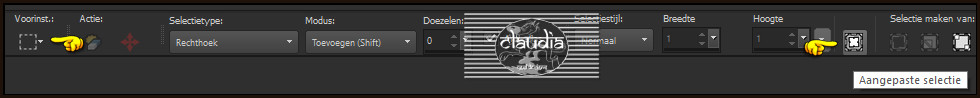 Activeer het Selectiegereedschap (toets S op het toetsenbord) - Aangepaste selectie 