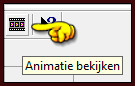 De animatie bekijken doe je door op dit icoontje te klikken