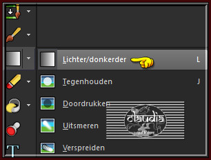 Activeer het Gereedschap "Lichter/donkerder"