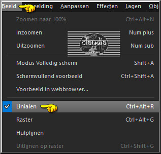 Activeer de linialen via : Beeld - Linialen