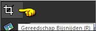 Druk op de letter R om het Gereedschap "Bijsnijden" te activeren 