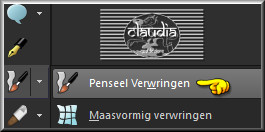 Activeer het Gereedschap "Penseel Verwringen"