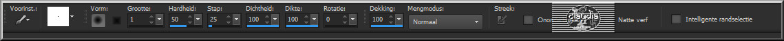 Activeer het Penseelgereedschap (brushes) met deze instellingen