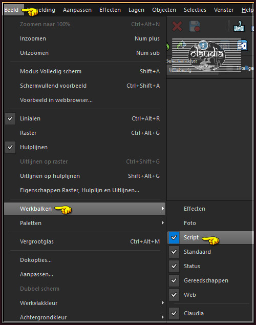 Activeer de "Script" werkbalk