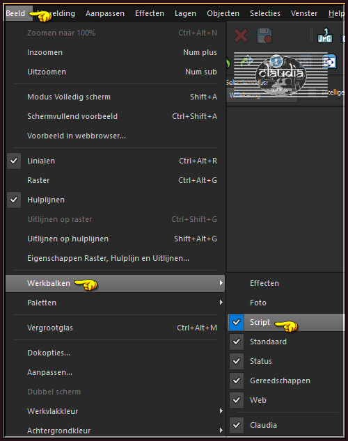 Activeer de "Script" werkbalk