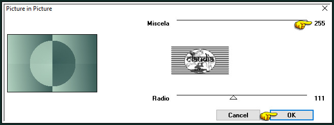 Effecten - Insteekfilters - Italian Editors Effect - Picture in Picture