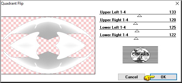 Effecten - Insteekfilters - Mirror Rave - Quadrant Flip