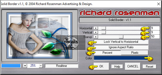 Effecten - Insteekfilters - Richard Rosenman - Solid Border