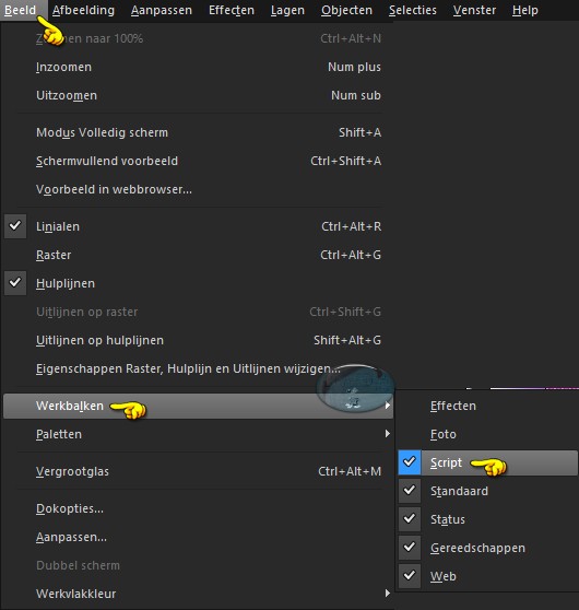 Activeer de Script Werkbalk