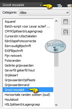 Zoek het script "Groot mozaïek"