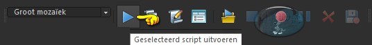 Geselecteerd script uitvoeren
