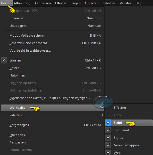 Als je het Scriptgereedschap nog niet hebt geactiveerd, doe je dit als volgt : Beeld - Werkbalken - Script