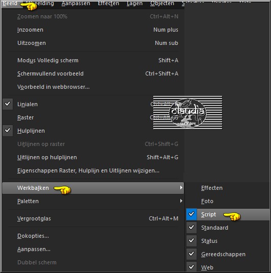 Beeld - Werkbalken - Script 