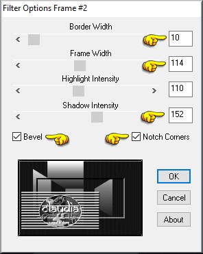 Instellingen filter BorderMania - Frame #2