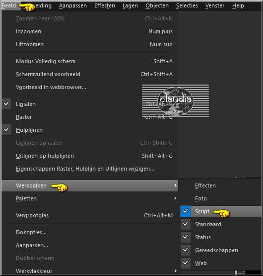 Om de Scriptbalk te activeren vanuit het Menu : Beeld - Werkbalken - Script 