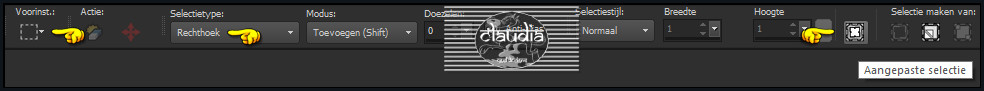 Activeer het Selectiegereedschap (toets S op het toetsenbord) - Aangepaste selectie