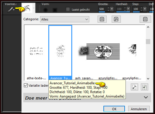 Activeer het "Penseelgereedschap" en zoek de Brushe "Avancer_Tutoriel_Animabelle" met deze instellingen