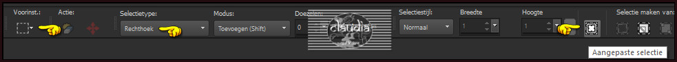 Activeer het Selectiegereedschap (toets S op het toetsenbord) - Aangepaste selectie