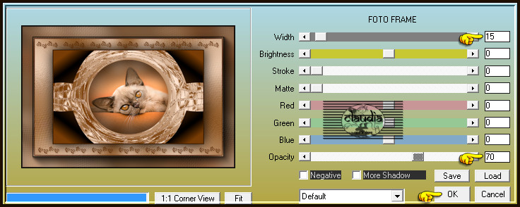 Effecten - Insteekfilters - AAA Frames - Foto Frame