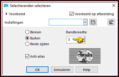 Selecties - Wijzigen - Selectieranden selecteren