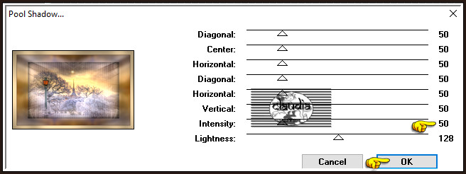 Effecten - Insteekfilters - Tramages - Pool Shadow