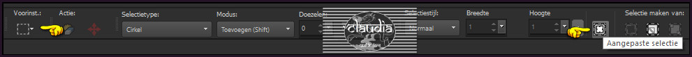 Activeer het Selectiegereedschap (toets S op het toetsenbord) - Aangepaste selectie