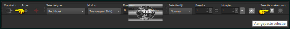 Activeer het Selectiegereedschap (toets S op het toetsenbord) - Aangepaste selectie