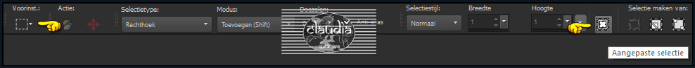 Activeer het Selectiegereedschap (toets S op het toetsenbord) - Aangepaste selectie