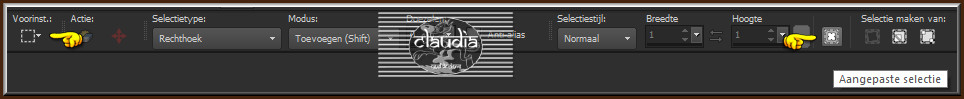 Activeer het Selectiegereedschap (toets S op het toetsenbord) - Aangepaste selectie 