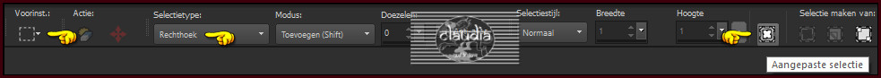 Activeer het Selectiegereedschap (toets S op het toetsenbord) - Aangepaste selectie