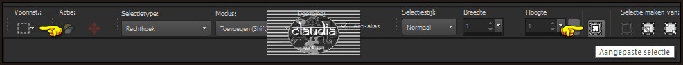 Activeer het Selectiegereedschap (toets S op het toetsenbord) - Aangepaste selectie