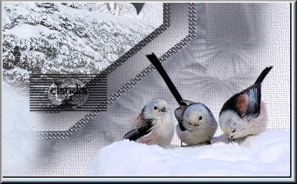 Plaats de vogeltjes rechts onderaan