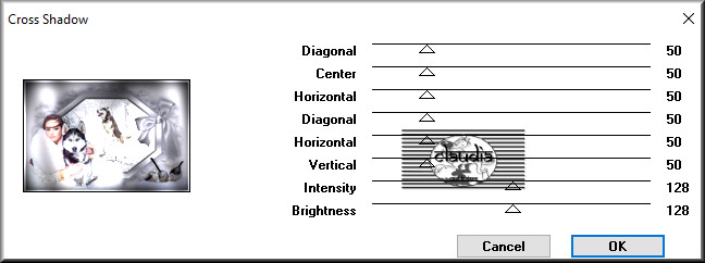 Effecten - Insteekfilters - Graphics Plus - Cross Shadow 