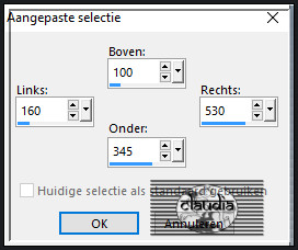 Activeer het Selectiegereedschap (toets S op het toetsenbord) - Aangepaste selectie en voer deze getallen in