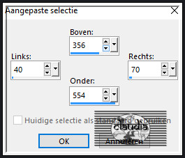 Activeer het Selectiegereedschap (toets S op het toetsenbord) - Aangepaste selectie en voer deze getallen in