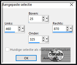 Activeer het Selectiegereedschap (toets S op het toetsenbord) - Aangepaste selectie en voer deze getallen in