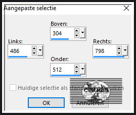 Activeer het Selectiegereedschap (toets S op het toetsenbord) - Aangepaste selectie en voer deze getallen in