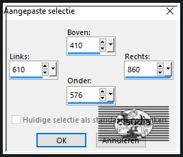 Activeer het Selectiegereedschap (toets S op het toetsenbord) - Aangepaste selectie en voer deze getallen in