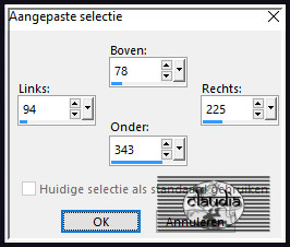 Activeer het Selectiegereedschap (toets S op het toetsenbord) - Aangepaste selectie en voer deze getallen in :