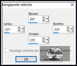 Activeer het Selectiegereedschap (toets S op het toetsenbord) - Aangepaste selectie en voer deze getallen in :