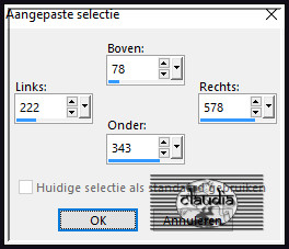 Activeer het Selectiegereedschap (toets S op het toetsenbord) - Aangepaste selectie en voer deze getallen in :