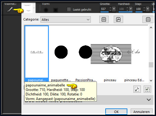 Activeer het "Penseelgereedschap" en zoek de Brushe "papounaime_animabelle" met deze instellingen