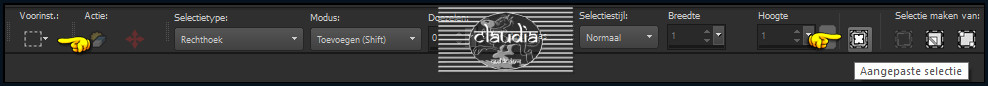 Activeer het Selectiegereedschap (toets S op het toetsenbord) - Aangepaste selectie