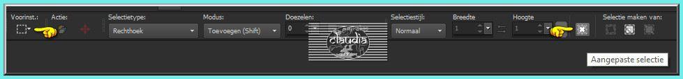 Activeer het Selectiegereedschap (toets S op het toetsenbord) - Aangepaste selectie