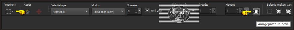 Activeer het Selectiegereedschap (toets S op het toetsenbord) - Aangepaste selectie